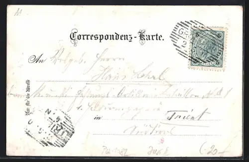 Lithographie Gröbming, Ortsansicht mit Kamp-Spitz, Schutzhaus am Stoder mit Dachstein, Salzafall