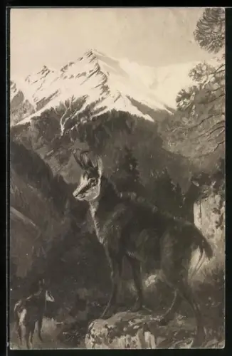 AK Bergziege mit Jungem im Hochgebirge