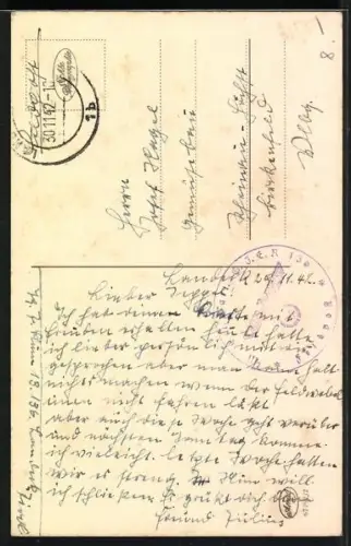 AK Edle Rasse, Schimmel