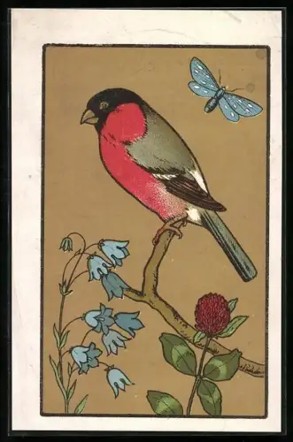 AK Dompfaff und Schmetterling, Glockenblume, Klee
