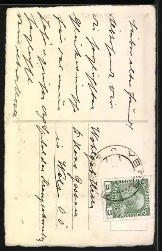 AK Wasservögel in Auenlandschaft