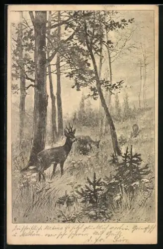 Künstler-AK Rehbock und Rehe auf einer Lichtung