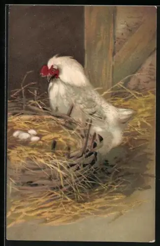 AK Henne gebutachtet ihre Eier, Ostern