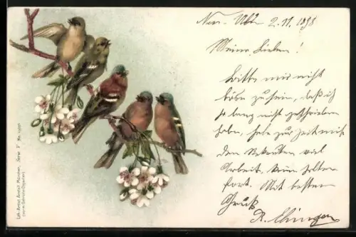 AK Singvögel auf einem blühenden Zweig