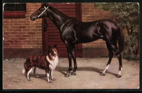 AK Reitpferd und Collie in einem Hof