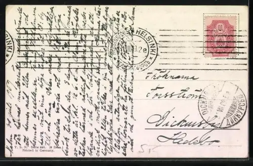 AK Reitpferd und Collie in einem Hof