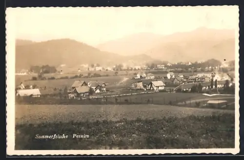 AK Pernitz, Gesamtansicht mit Feldern u. Bergpanorama