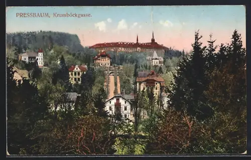 AK Pressbaum, Krumböckgasse mit Umgebung aus der Vogelschau