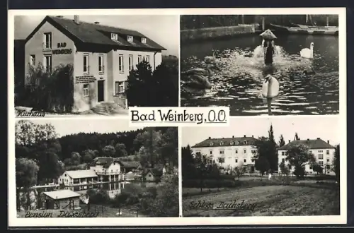 AK Prambachkirchen, Pension Daxberg, Kurhaus Bad Weinberg, Schloss Dachsberg