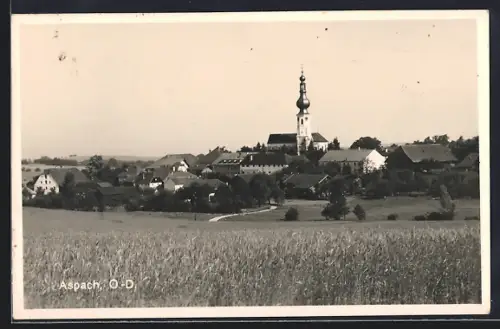 AK Aspach /O. D., Ortsansicht von einem Getreidefeld aus