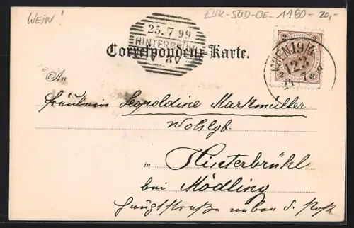 AK Wien-Grinzing, Gesamtansicht aus der Vogelschau