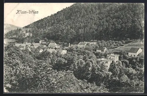 AK Klein-Wien, Ortsansicht mit Waldpartie