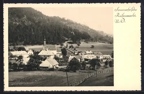 AK Raifenmarkt /N.-Ö., Ortsansicht vom Feldweg aus