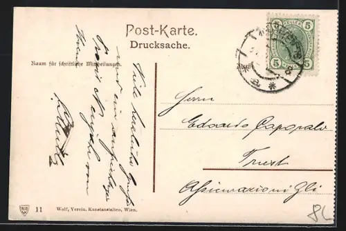 AK Wien, Graben, Strassenpartie mit Denkmälern aus der Vogelschau