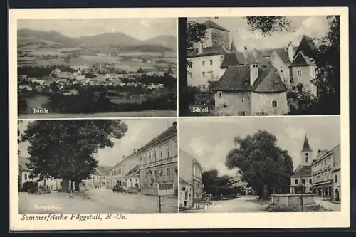 AK Pöggstall, /N. Ö., Hauptplatz, Schloss, Totalansicht