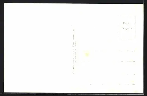 AK Prein a. d. Rax, Ortsansicht mit Gasthof zum oberen Eggl