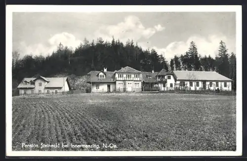 AK Innermanzing /N. Ö., Pension Steineckl, Panorama von einem Acker aus