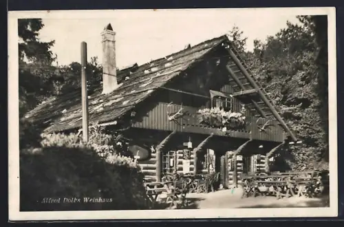 AK Wien-Ober St. Veit, Schönstes Weinhaus Wiens, Alfred Doll`s Weinhaus, Stock im Weg