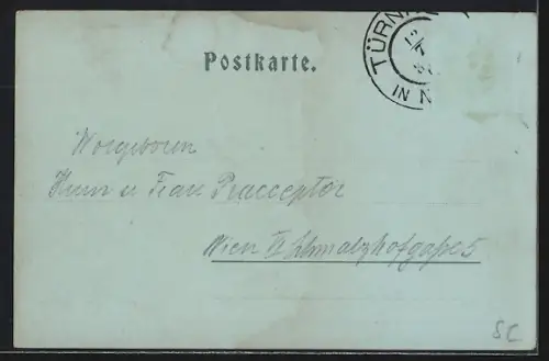 Mondschein-AK Türnitz, Teilansicht mit Bergen aus der Vogelschau