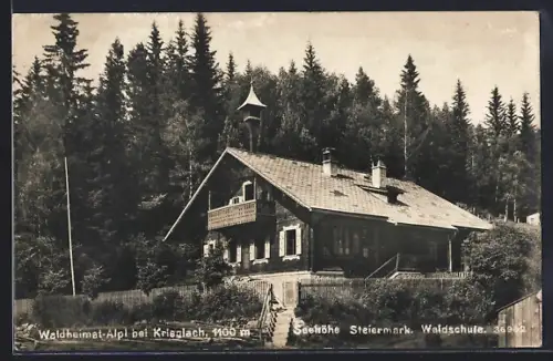 AK Waldheimat-Alpl bei Krieglach, Die Waldschule