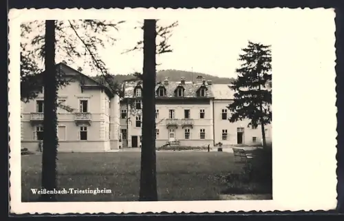 AK Weissenbach /Triesting, Triestingheim