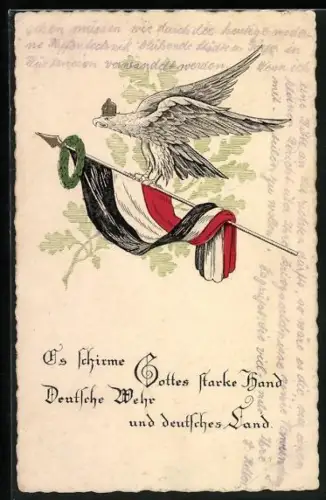 Künstler-AK Adler mit der Reichsfahne