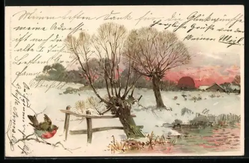 Sonnenschein-AK Ortspartie im Winter mit einem Vogel