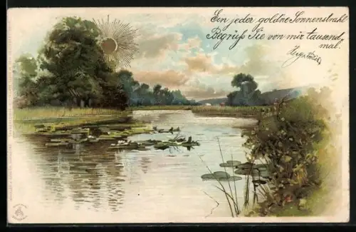 Sonnenschein-AK Teichenrosenblätter in der Sonne