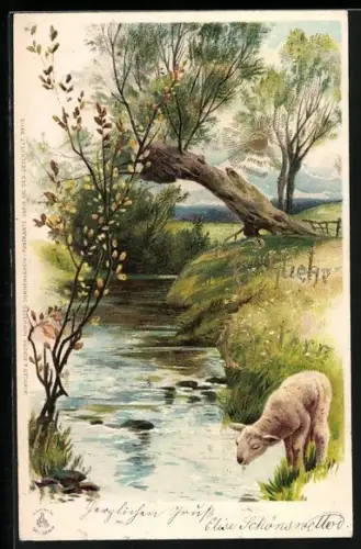 Lithographie Lamm trinkt am Flussufer