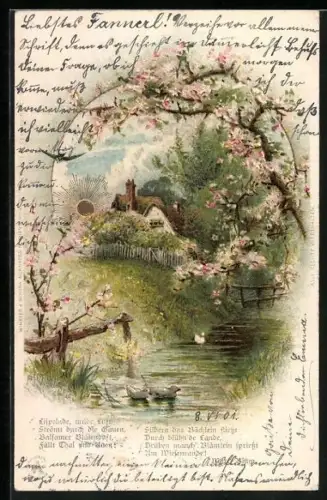 Sonnenschein-AK Flusspartie im Frühling mit Enten u. goldener Sonne, Gedicht