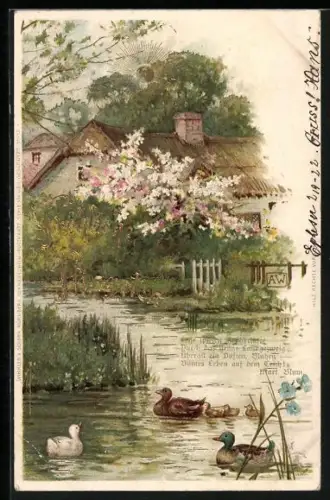Sonnenschein-AK Weiher mit Enten
