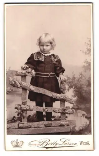 Fotografie Betty Larson, Wexiö, Sandgärdsgatan 24, Kind an rustikalem Zaun