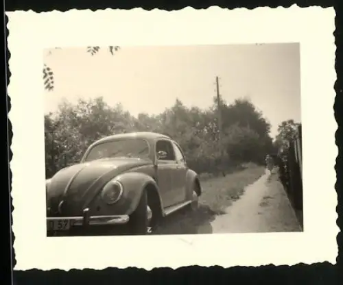 Fotografie Auto Volkswagen VW Käfer