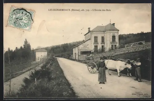 AK Les Écharmeaux /Rhône, L`Entrée des Bois avec villa et attelage de boeufs
