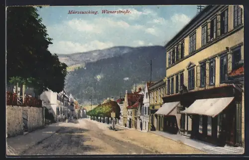 AK Mürzzuschlag, Partie an der Wienerstrasse