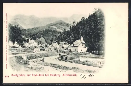 AK Neuberg, Carlgraben mit Lach-Alm und Bergpanorama