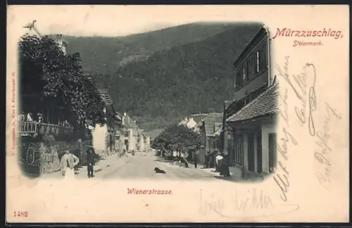 AK Mürzzuschlag, Blick in die Wienerstrasse