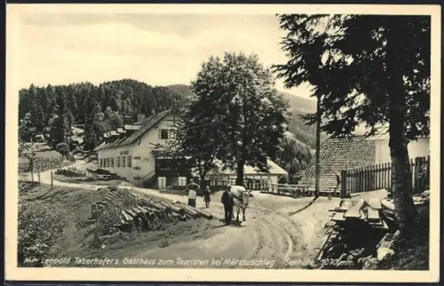AK Mürzzuschlag, Leopold Taberhofer's Gasthaus zum Touristen