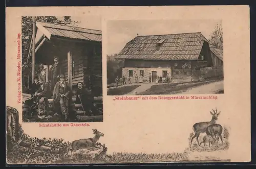 AK Mürzzuschlag, Gasthaus Steinbauer mit dem Roseggerstübl, Schutzhütte am Ganzstein