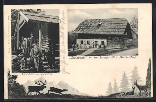 AK Mürzzuschlag, Gasthaus Steinbauer mit Roseggerstübl, Schutzhütte am Ganzstein