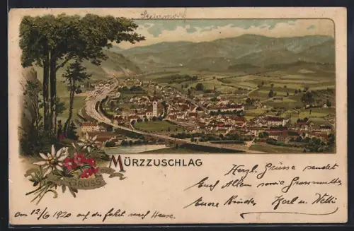 Lithographie Mürzzuschlag, Gesamtansicht