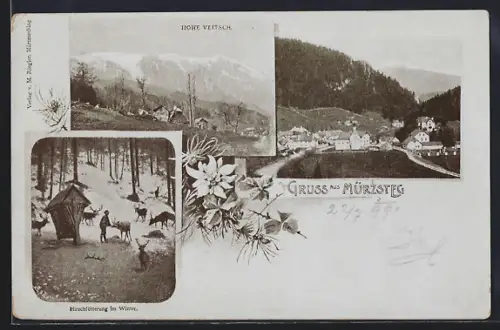 AK Mürzsteg, Teilansicht, Hohe Veitsch, Ortspartie mit Hirschen im Winter