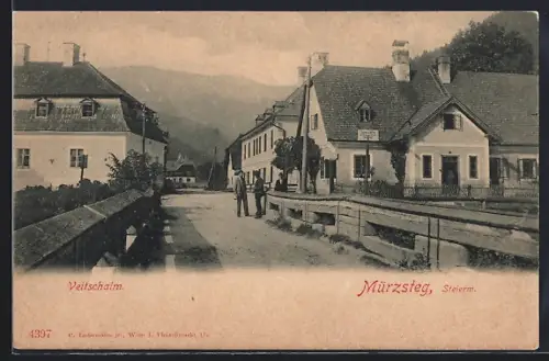 AK Mürzsteg, Partie an der Veitschalm