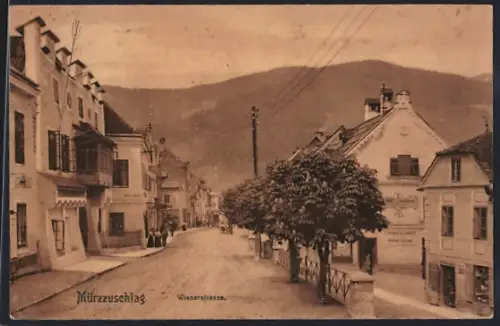 AK Mürzzuschlag, Sicht in die Wienerstrasse