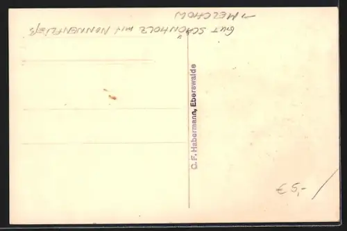 AK Melchow, Gut Schönholz mit Nonnenfliess