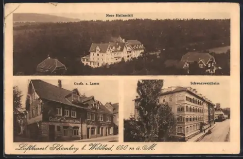 AK Schömberg b. Wildbad, Gasthof-Pension z. Lamm, Schwarzwaldheim, Neue Heilanstalt aus der Vogelschau