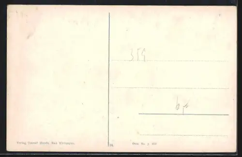 AK Bad Wildungen, Totalansicht