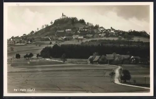 AK Parkstein /Opf., Basaltkegel, Kirche, Ortsansicht