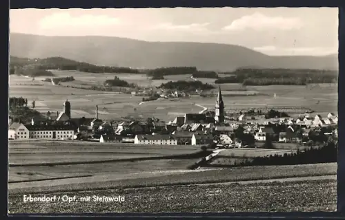 AK Erbendorf /Opf., Stadtansicht mit Steinwald