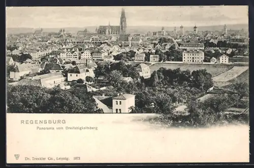 AK Regensburg, Panorama vom Dreifaltigkeitsberg